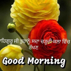 So satgur pyara mere naal hai 8D sound 8 Dimensional song Waheguru Ji 🙏🏻