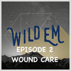 episode 2 - wound care