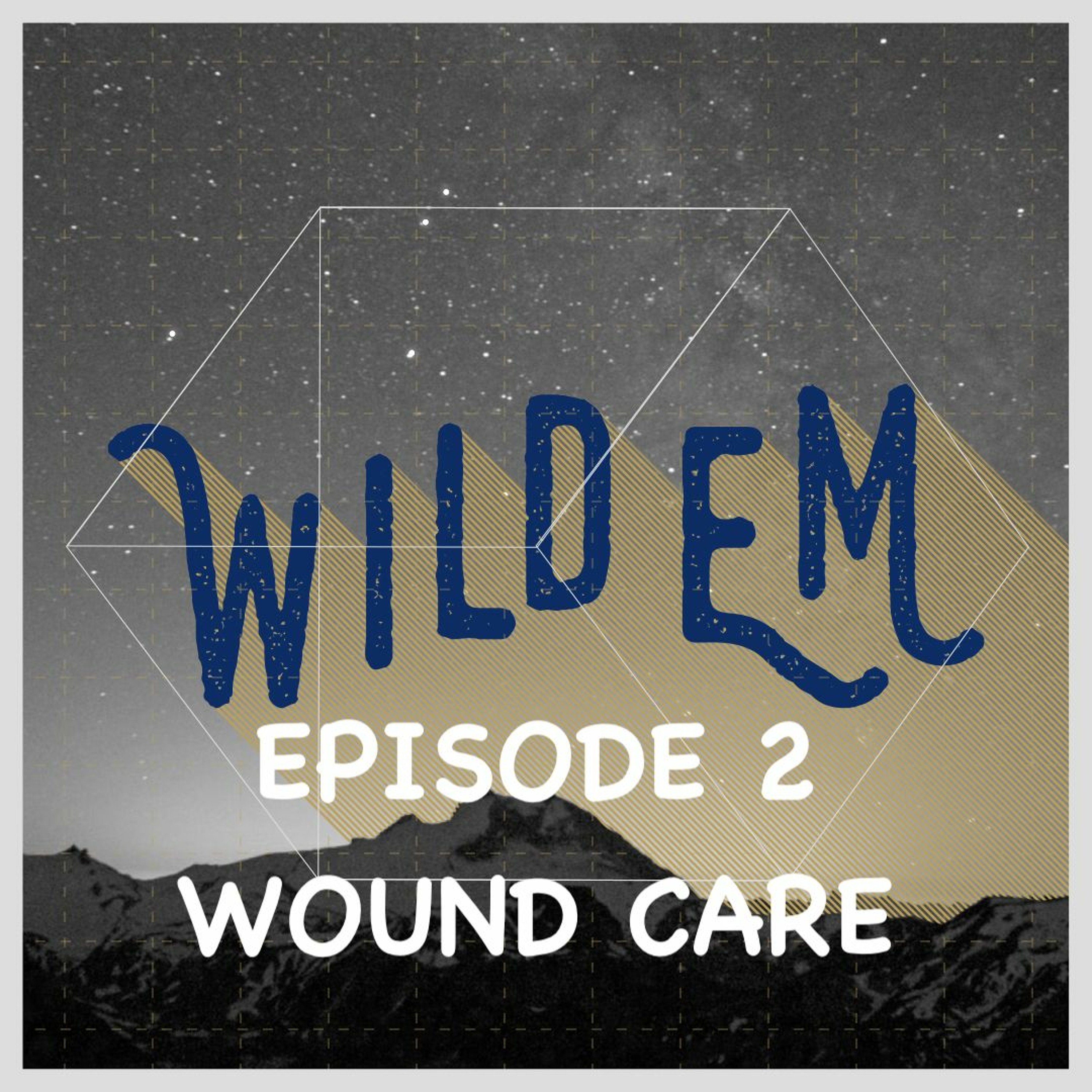 Artwork for WildEM the Wilderness Medicine Podcast