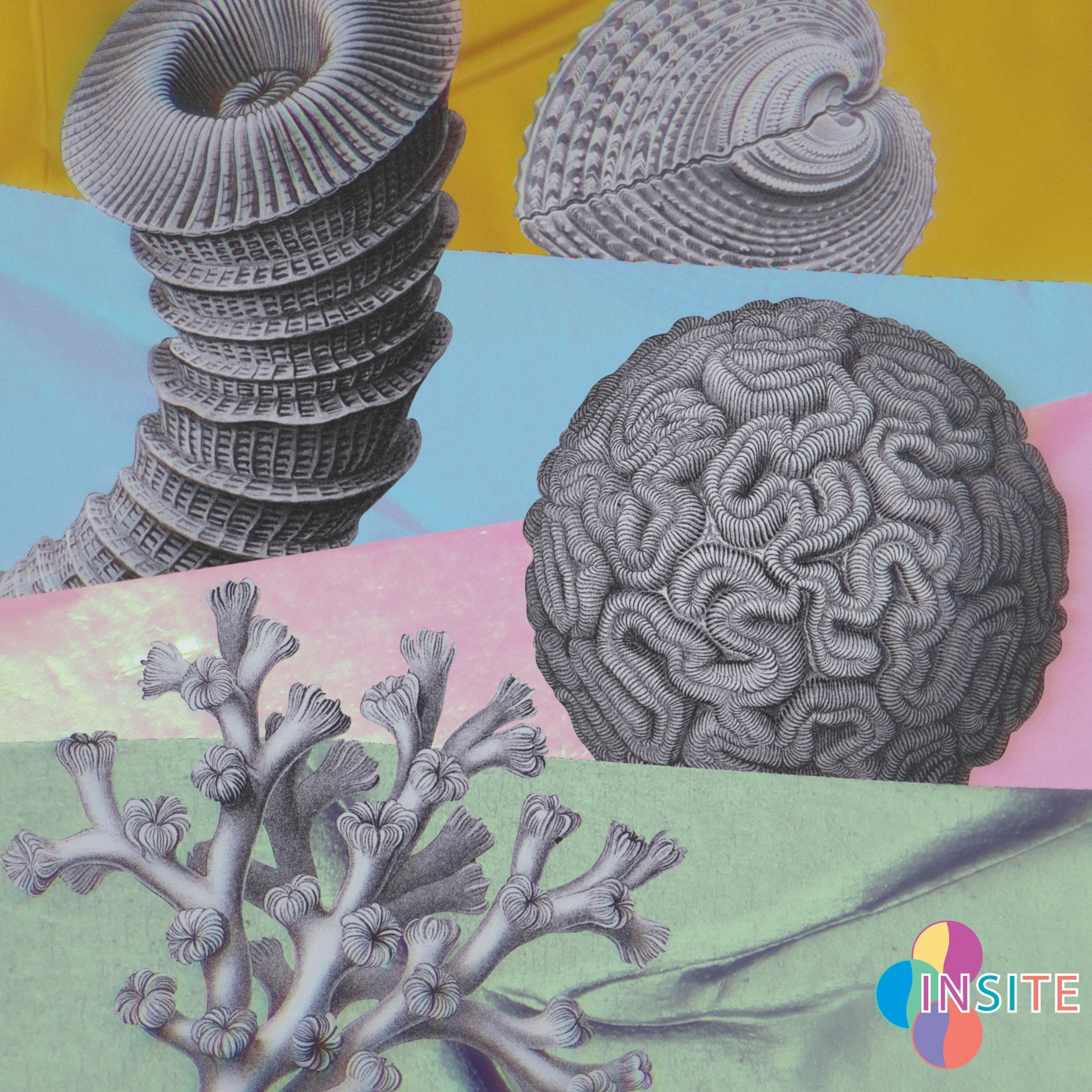 RadioBio