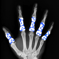 IN MY BONES