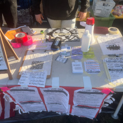 Interview with Demaris at Broadview ICE Facility