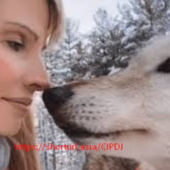 +@(Video 18▔CLIP)one girl one wolf video Link On Social Media X
