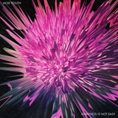 PREMIERE | Acid Youth - Keep Off