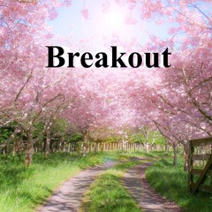 Breakout (ft. Arianna Rader - vocals)
