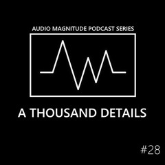 Audio Magnitude Podcast Series #28 A Thousand Details\ATD