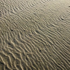 Sun Warmed Sand