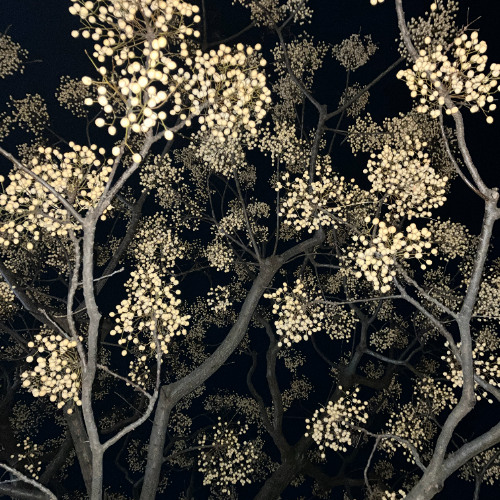 2025 July August (alternative version)   [free download]