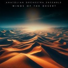 Interstellar Journey