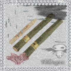 king palm 凸(⊙▂⊙X ) 🌴