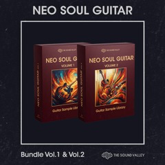 Neo Soul Guitar Bundle Vol.1 & Vol.2 Demo