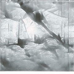 Indra's Net (feat. Arianna Hume & Frau)