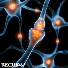 Synapse