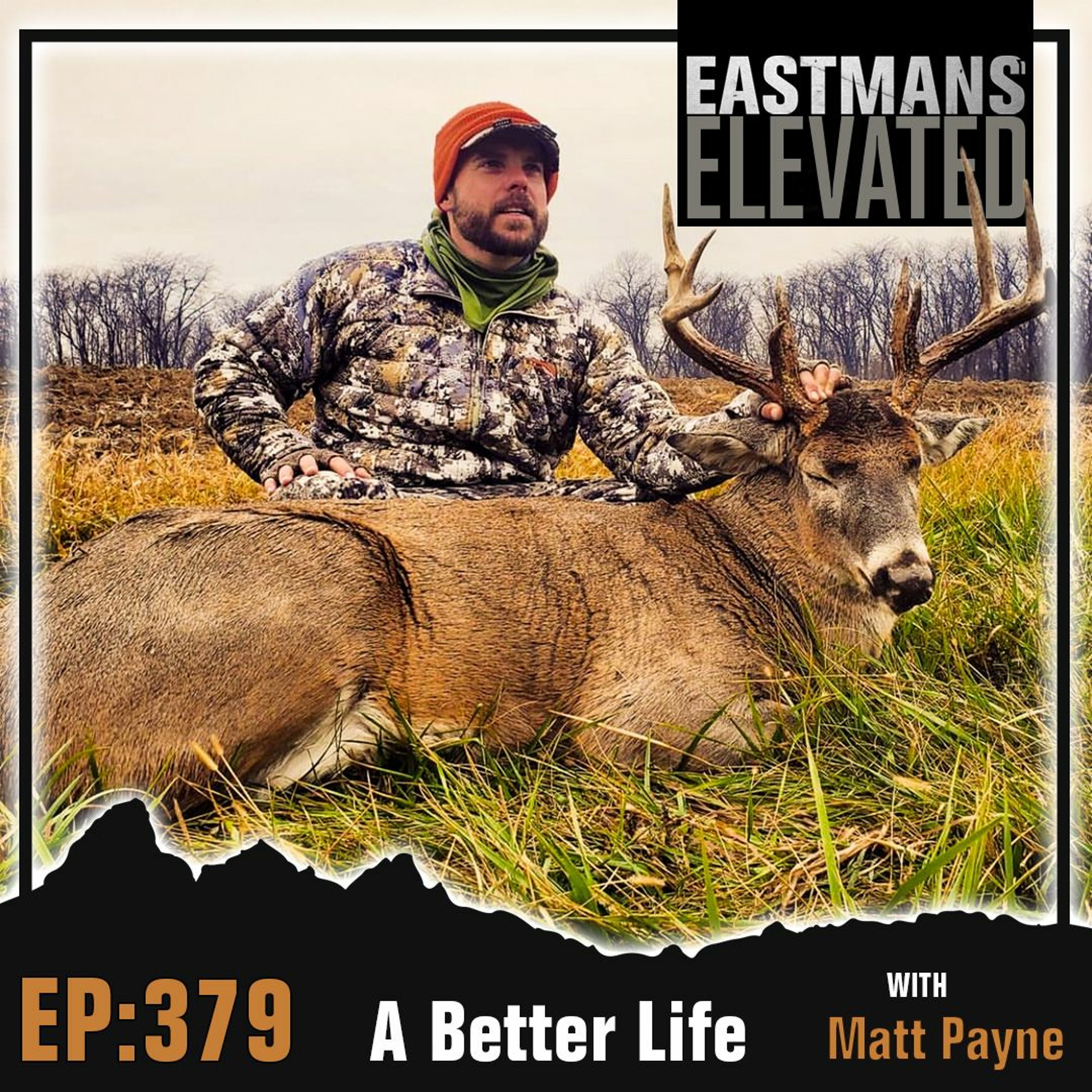 Episode 379: A Better Life With Matt Payne