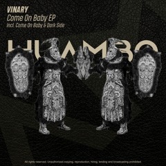 Vinary - Dark Side (Fun Mix)