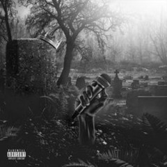 Freestyle (feat. NJ)