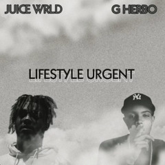 2 Seat (Lifestyle Urgent)