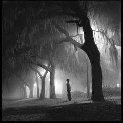 Alone In Darkness