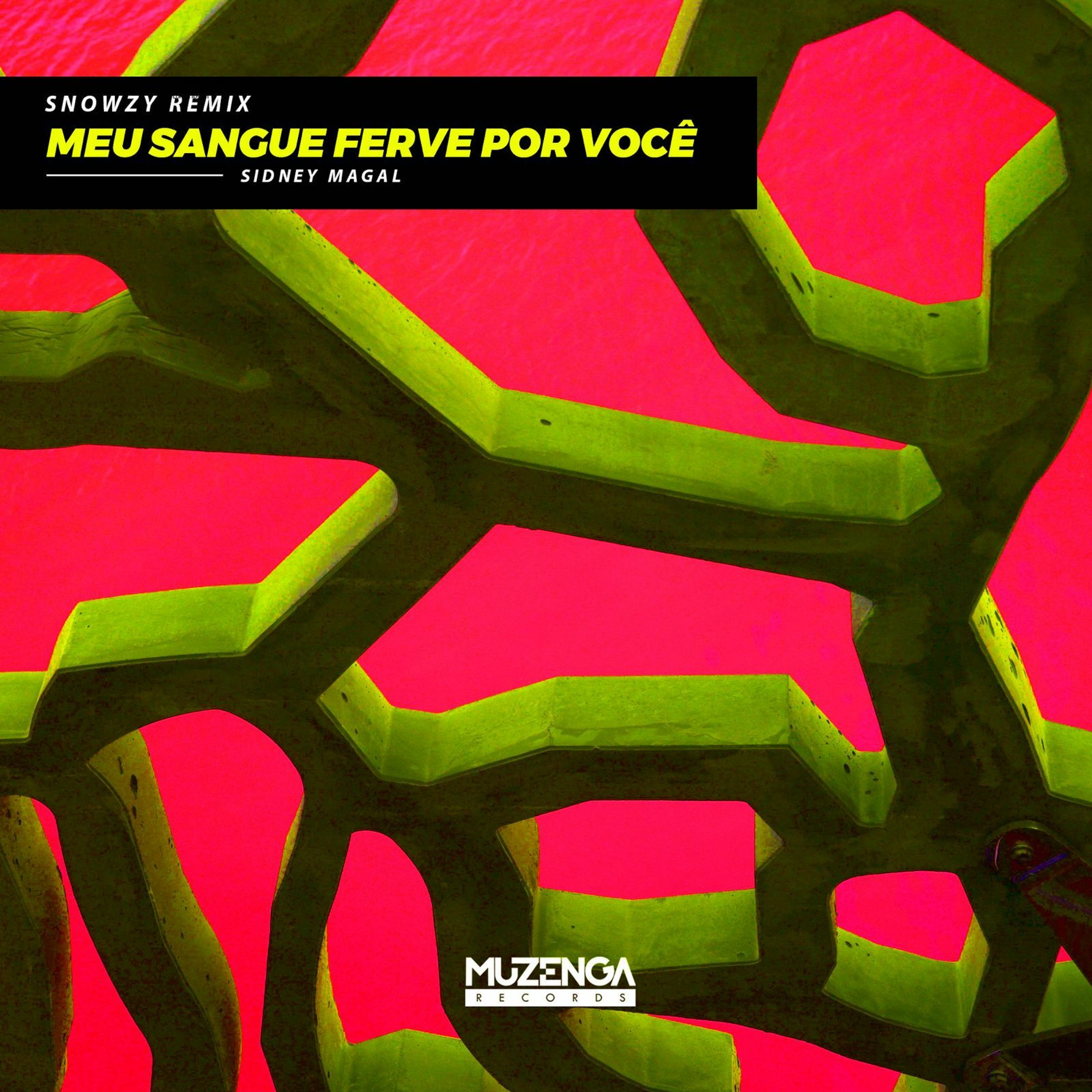 Sidney Magal - Meu Sangue Ferve Por Você (Snowzy Remix) | FREE DOWNLOAD episode artwork