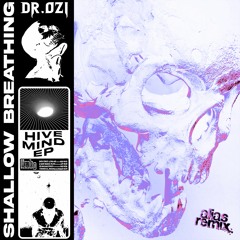 Favorites V12