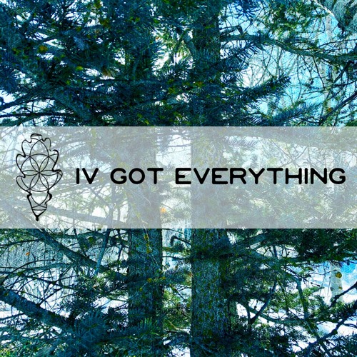 iv got everything