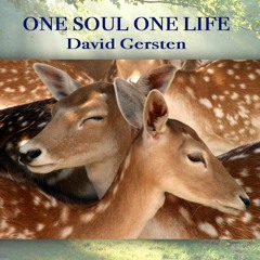 ONE SOUL ONE LIFE