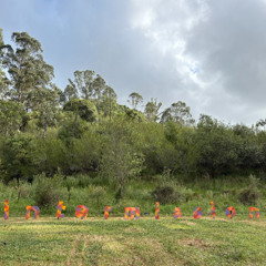 Barnacle Bill Intermission Downtempo Mix