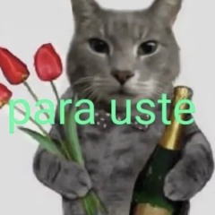 Latin Core AKA guachatarra