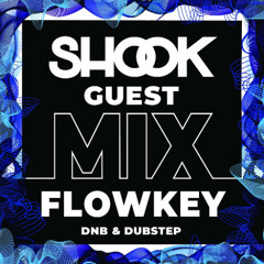 Shook Guest Mix #024 - FLOWKEY