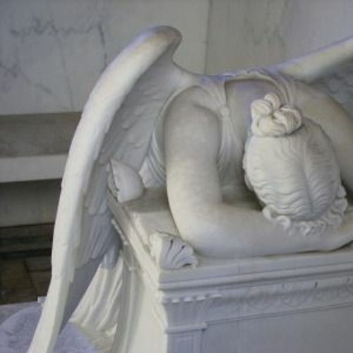 hibernate