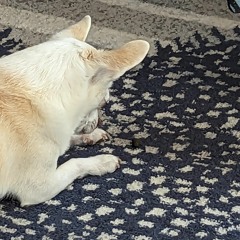 Marlboro nights! {sped up!}