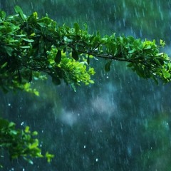Jeff Ozmits - Healing Rain (Naz K Remix)