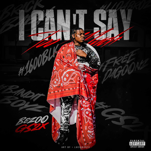 Bezoo GS2x - All Dawgs Go 2 Heaven