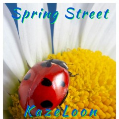 Spring Street Freestyle By KazeLoon Prod.By Beats By Frost