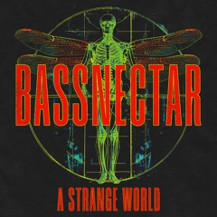 Bassnectar - A Strange World