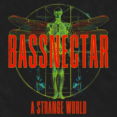 Bassnectar - A Strange World
