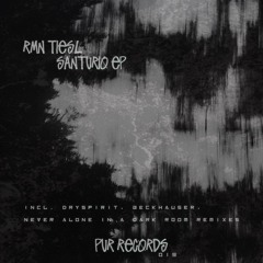 rmn, Tiesl - Santurio (Never Alone In A Dark Room Remix) [PUR019]
