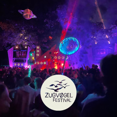 Naicet @ Zugvögel Festival | Dirty Delta | 26.07.25