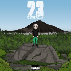 23