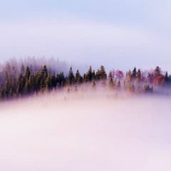 ANACO - NEBELSCHWADENBILDER