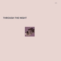 THROUGH THE NIGHT