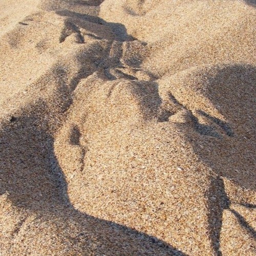 Mas não podia ventar...