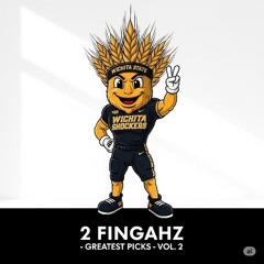 Slanki & Friends - II Fingahz Greatest Picks Vol. 2