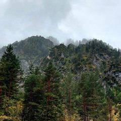 essai orchestration 1 la flute folle et la harpe - 18:08:2021 19.25