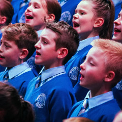 How does Northern Ireland's education system actually indoctrinate children?