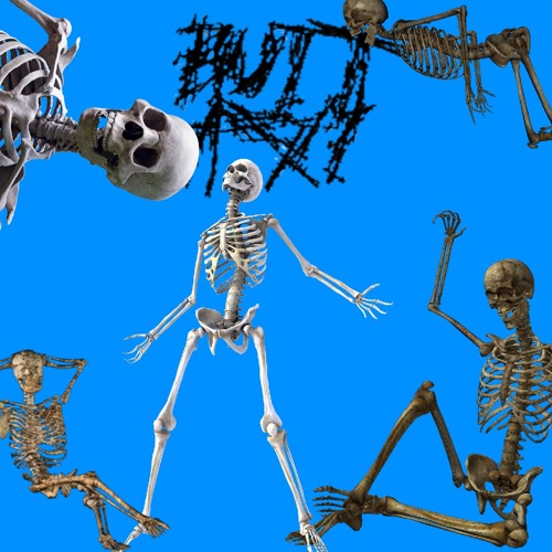 I Live In Your Walls And I’m Preparing To Kill You