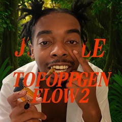 Topoppgen Flow 2