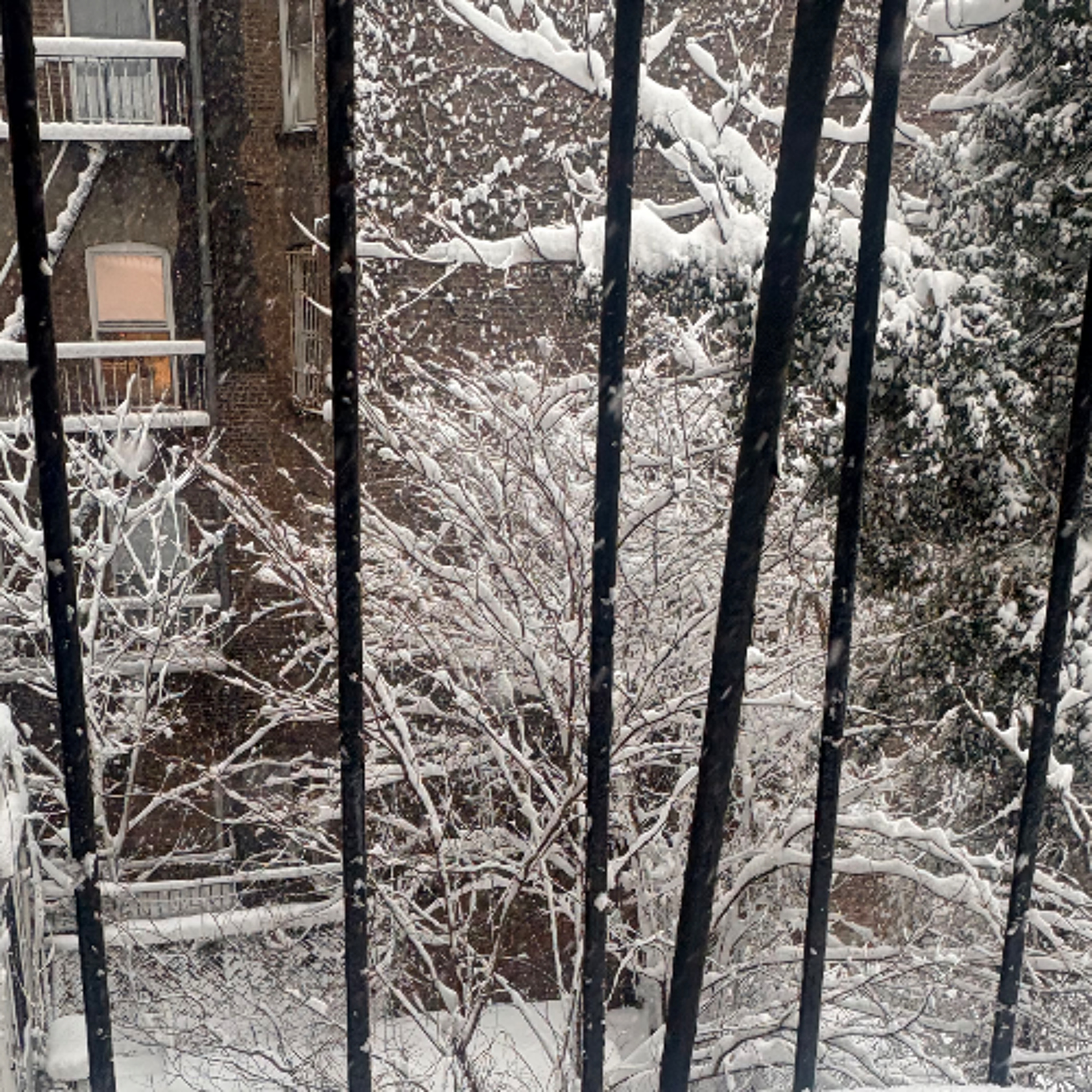022326 Snowpocalypse Hits North East,  Schools Reopen, Trump's Angel Day, Consumer Scams in NYC episode artwork