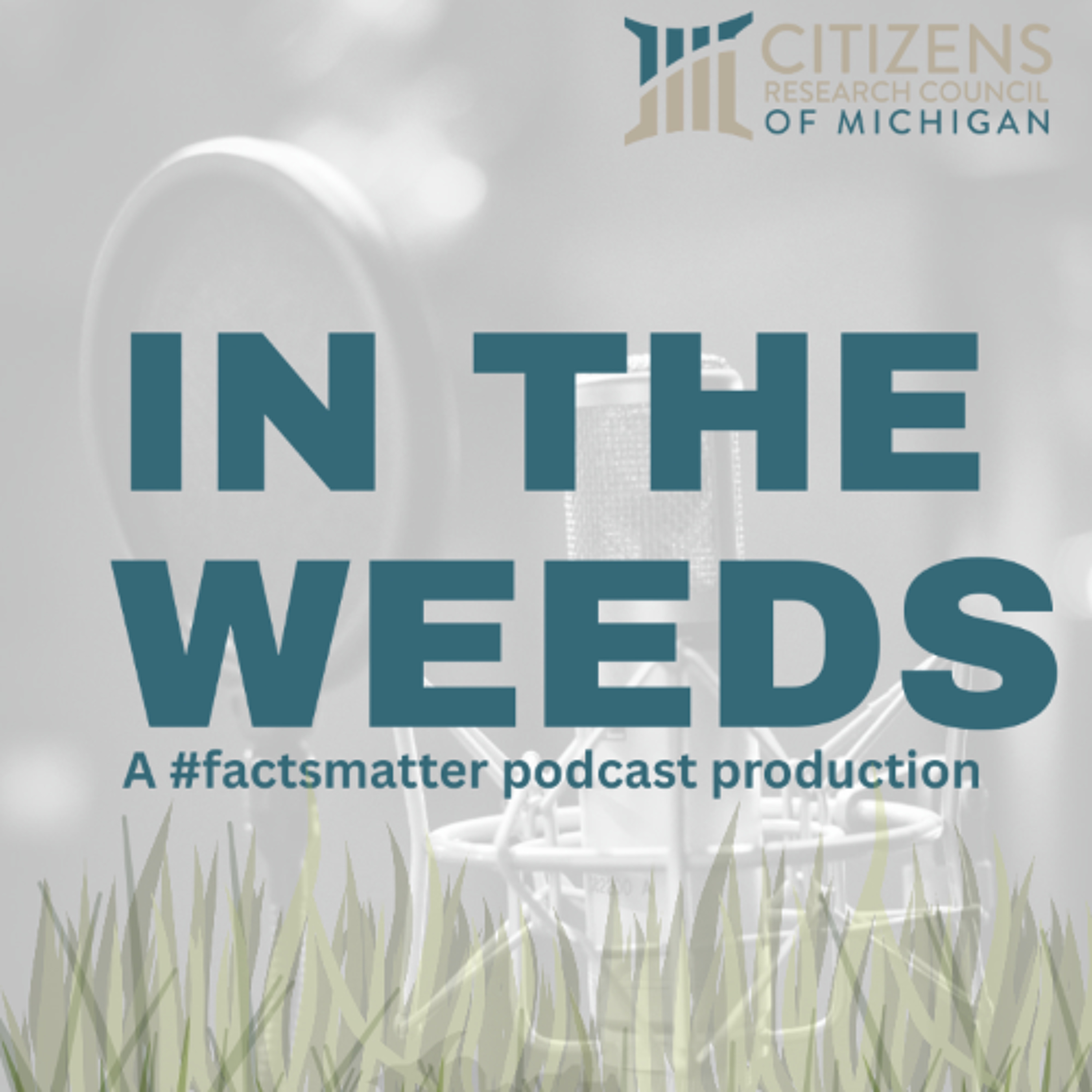 Michigan's a home rule state...but it doesn't allow local tax options. What?