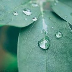 Sons Apaisants - Bâton De Pluie Et Carillon Kochi